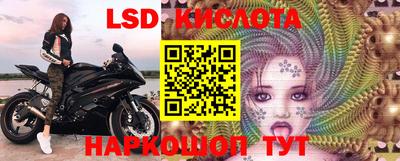 дживик Камышлов