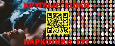 дживик Камышлов