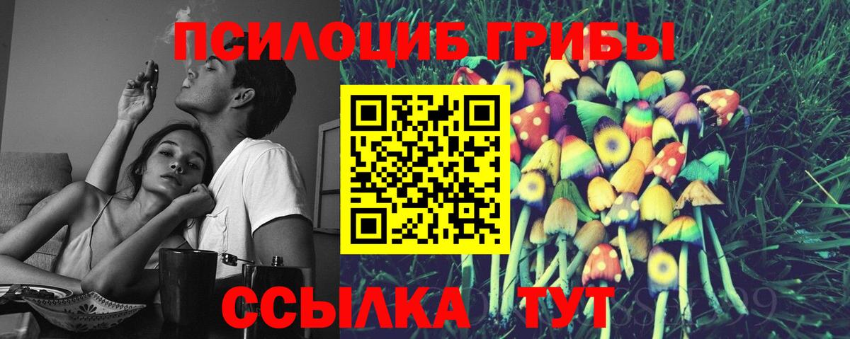 Галлюциногенные грибы MAGIC MUSHROOMS  Вход с VPN  наркошоп  Буйнакск 